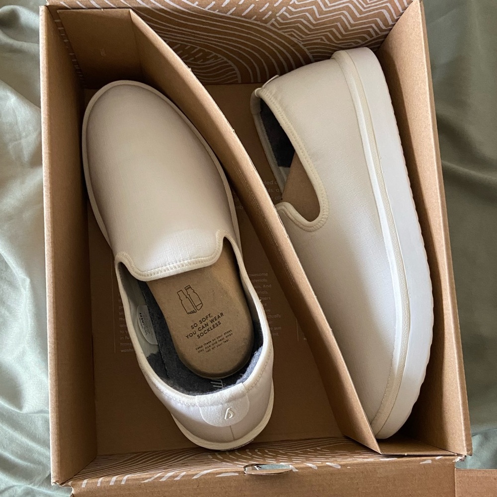 Brand new allbird slip on